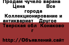 Продам чучело варана. › Цена ­ 15 000 - Все города Коллекционирование и антиквариат » Другое   . Тверская обл.,Конаково г.